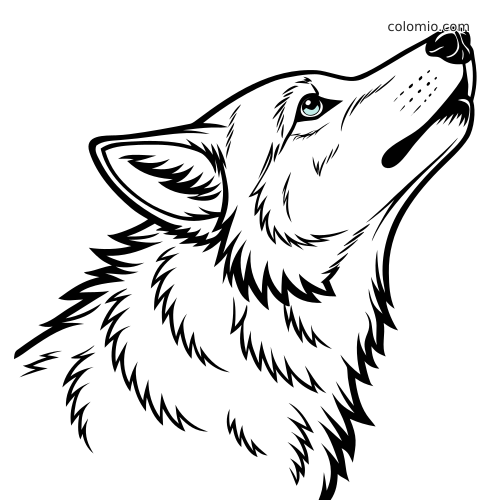 Lijntekening van een gedetailleerde wolvenkop in zijaanzicht, met gelaagde vacht, opgeheven snuit en een blauw oog.