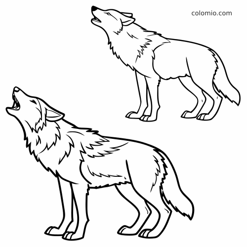Twee wolven in eenvoudige lijntekening, in zijaanzicht en met opgeheven kop, alsof ze huilen.
