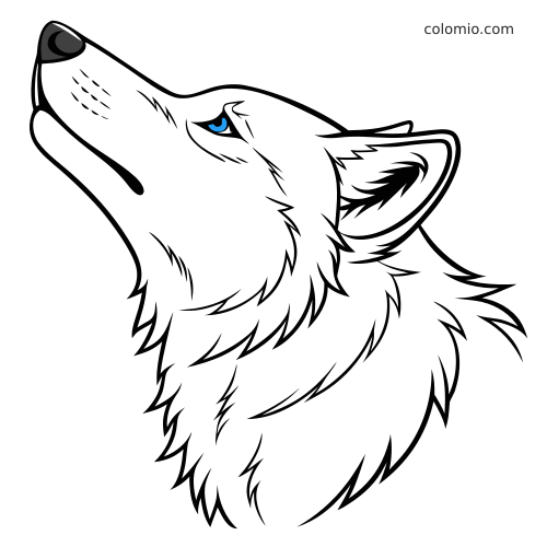 Eenvoudige lijntekening van een wolvenkop in zijaanzicht, met opgeheven snuit en een opvallend blauw oog.