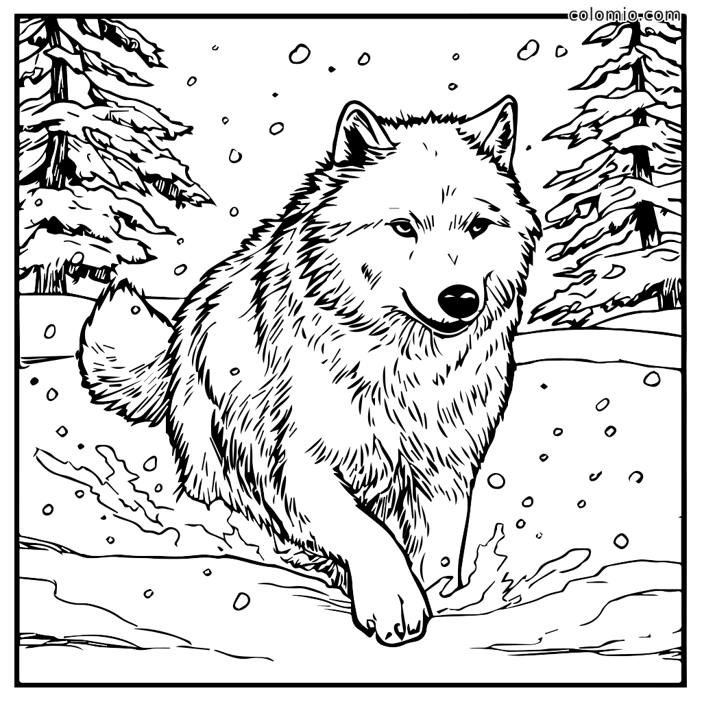 Kleurplaat van een wolf die door een besneeuwd landschap rent Een gedetailleerde zwart-wit kleurplaat van een wolf die door een besneeuwd landschap met bomen op de achtergrond rent.