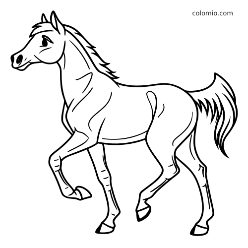 Dessin au trait en noir et blanc d’un cheval arabe cabré, avec une patte avant levée et une queue flottante.