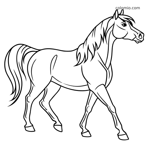 Dessin au trait en noir et blanc d’un cheval arabe vu de profil, en train de marcher, avec une longue crinière et une queue flottante.