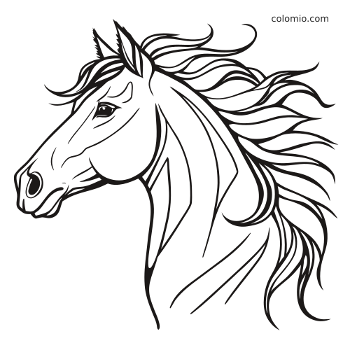 Portrait en noir et blanc d’une tête de cheval de profil, avec une longue crinière soufflée vers l’arrière.
