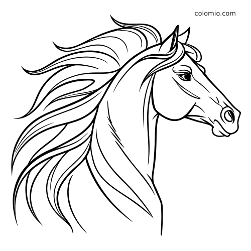 Portrait en noir et blanc d’une tête de cheval de profil, avec une longue crinière fluide dessinée en lignes élégantes.