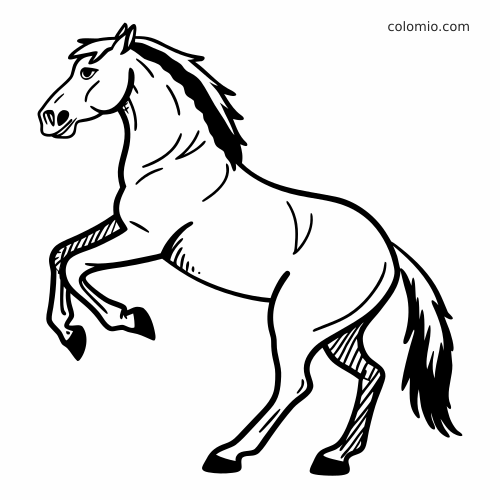 Un cheval frison cabré, dessiné en noir et blanc avec des contours épais, une crinière sombre et une longue queue.