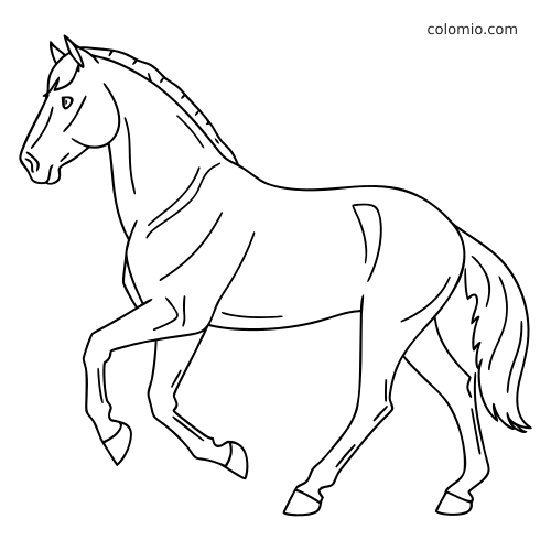 Dessin au trait simple d’un cheval frison vu de profil, avec une patte avant levée, une crinière courte et une queue fournie.