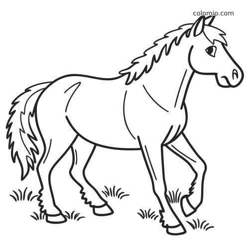Un cheval haflinger à la crinière et à la queue hirsutes marche dans l’herbe, vu de profil dans un dessin simple.