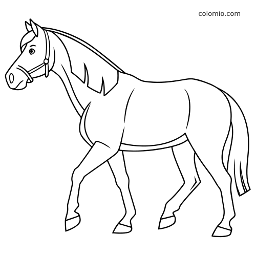 Dessin au trait simple d’un cheval haflinger vu de profil en train de marcher, avec un bridon et des contours épais.