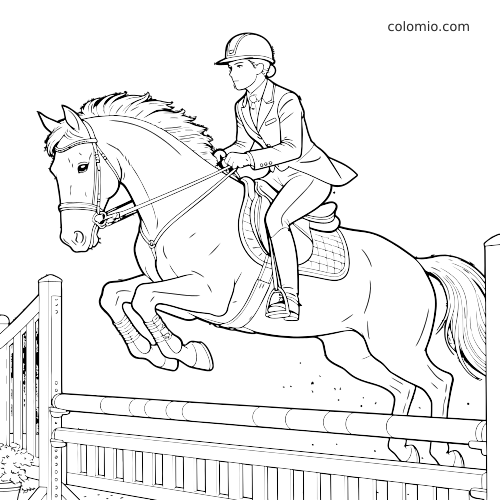 Dessin au trait détaillé d’un cheval avec son cavalier sautant un obstacle de concours, avec selle, bride, casque et barrières visibles.