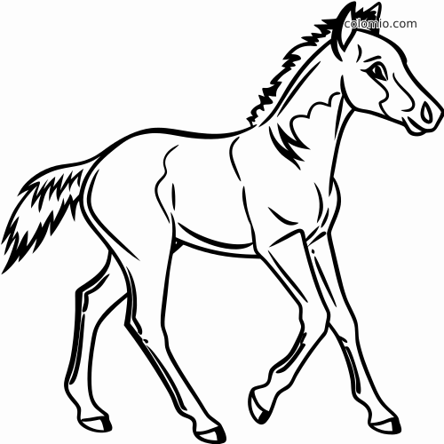 Dessin au trait d’un quarter horse en mouvement, représenté au galop avec les jambes relevées et la queue flottante.