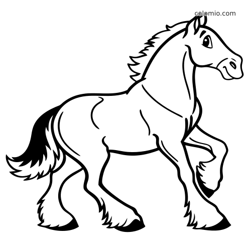 Un cheval de trait Shire vu de profil, dans une pose relevée avec une patte avant levée, une crinière épaisse et des fanons aux sabots.