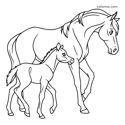 Dessin au trait simple d’une jument marchant à côté de son poulain, vus de profil avec des contours nets et épais.