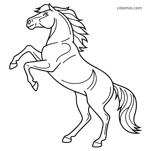 Dessin au trait simple d’un mustang sauvage cabré sur ses pattes arrière, avec une crinière et une queue flottantes.