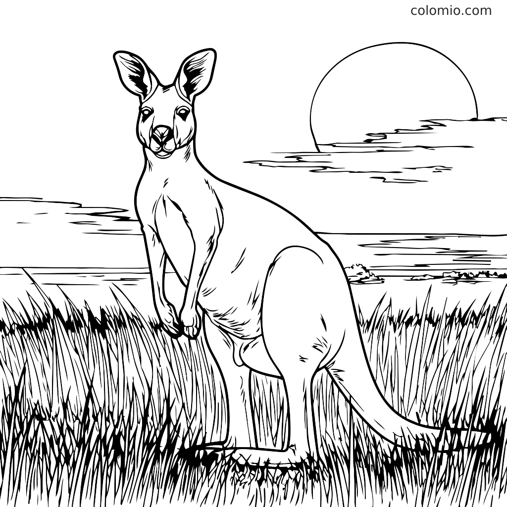 A kangaroo standing in tall grass with a sunset in the background, ready for coloring.