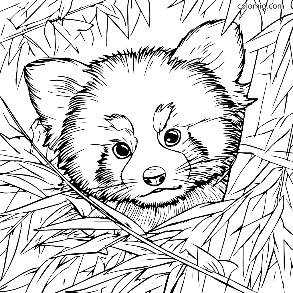A cute red panda with big eyes peeking through bamboo leaves, perfect for coloring.