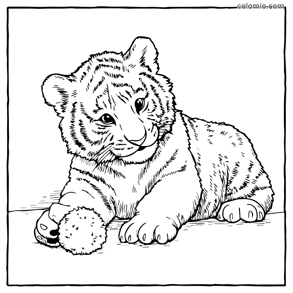 Un cucciolo di tigre giocoso sdraiato con una palla soffice, perfetto per colorare.
