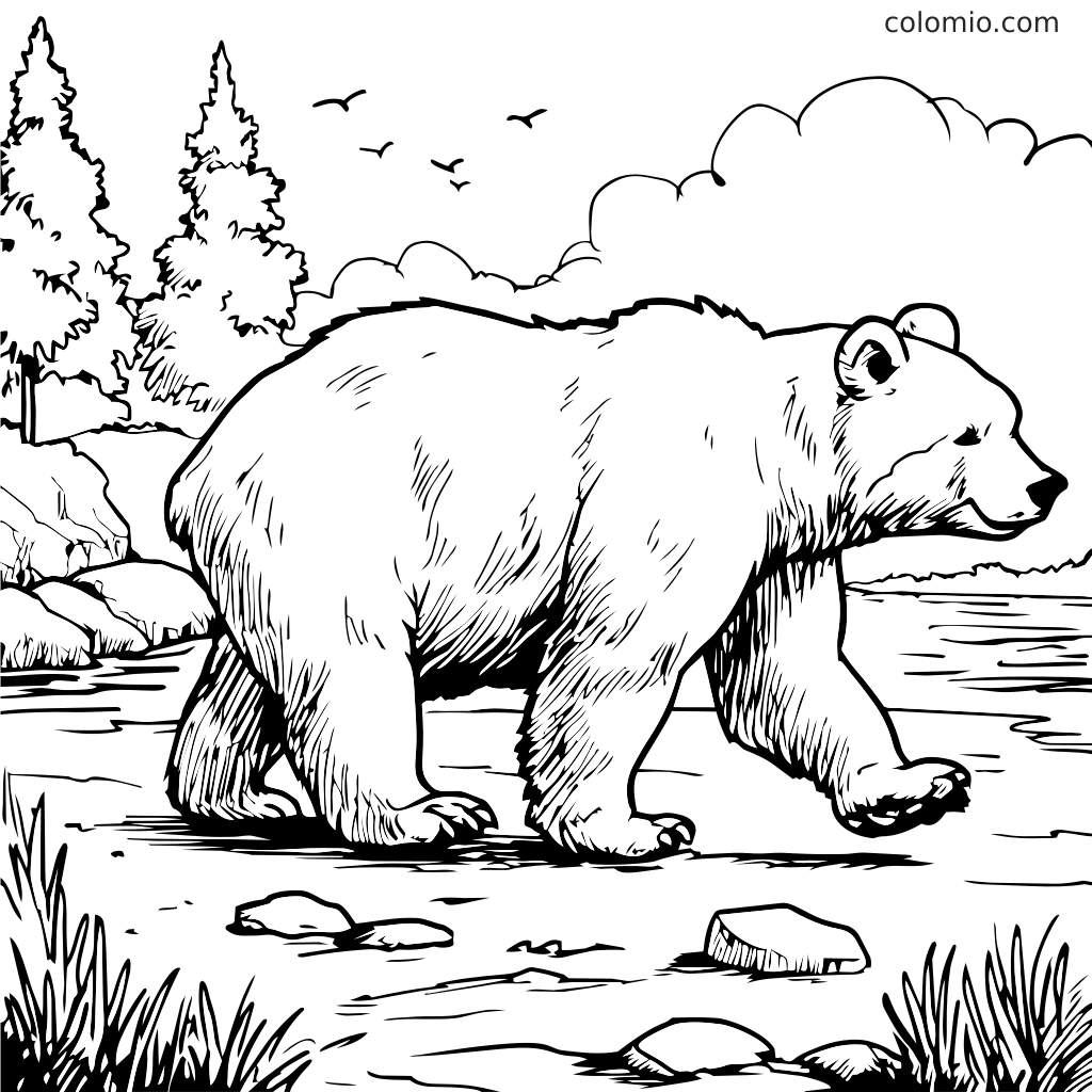 A detailed coloring page of a bear walking by a river with trees and rocks.