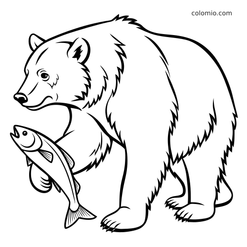 Illustrazione in bianco e nero ravvicinata di un orso grizzly che tiene un salmone tra le zampe, con contorni marcati.