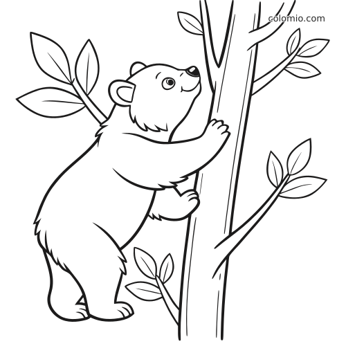 Un orsetto abbraccia e si arrampica su un sottile tronco d'albero, circondato da semplici rami con foglie.