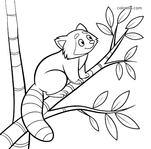 Un panda rosso in stile cartone animato è seduto su un ramo di bambù con foglie, disegnato con semplici contorni in bianco e nero.