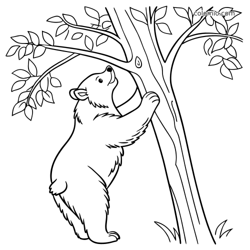 Un orso in bianco e nero si arrampica sul tronco di un albero sotto rami pieni di foglie, in una scena naturale.