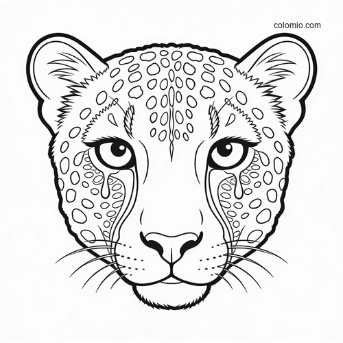 Black-and-white close-up portrait of a cheetah face with spots, tear marks, and a clean symmetrical outline.