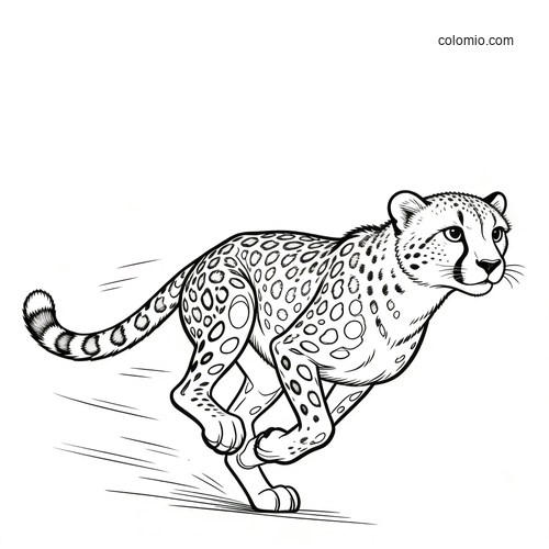 Black-and-white line art of a running cheetah with motion lines, shown in side view with spots and a long tail.