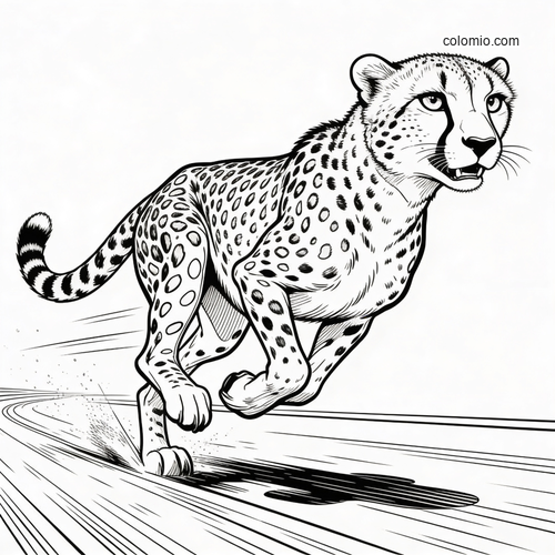 A black and white cheetah sprinting forward at high speed, drawn in a bold poster-style illustration with motion lines.