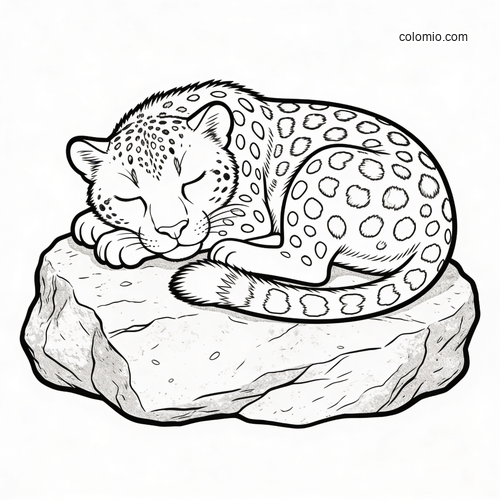 A black-and-white coloring page of a sleeping cheetah curled up on a large rock, with closed eyes and spotted fur.
