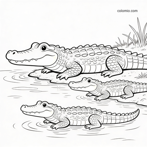 Black-and-white coloring page of a crocodile family at the riverside, showing one adult and two young crocodiles in shallow water.