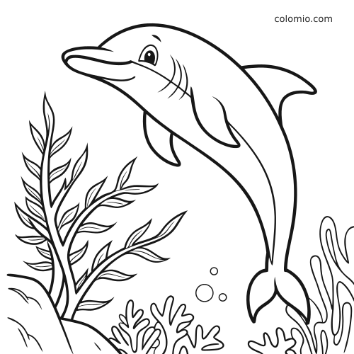 En delfin svømmer oppover i et korallrev med tang, bobler og enkle undervannsplanter rundt seg.