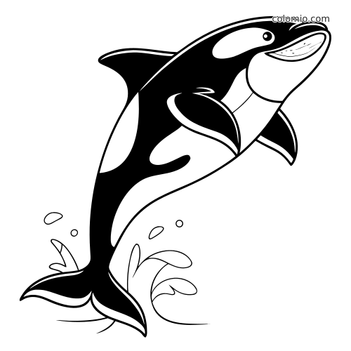 En svart-hvitt-tegning av en hoppende spekkhogger med buet kropp og vannsprut rundt halen.