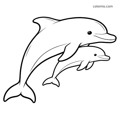 Et enkelt fargeleggingsark som viser en delfinmor som svømmer ved siden av ungen sin i en ren strekstil.