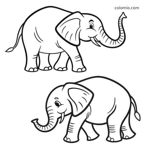 Dois elefantes em estilo cartoon aparecem separados em contornos pretos simples, um com a tromba levantada e outro caminhando.