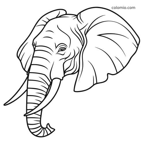 Retrato em preto e branco da cabeça de um elefante, com presas longas, tromba abaixada, linhas faciais detalhadas e orelhas grandes.