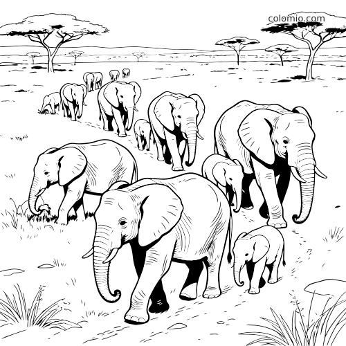 Desenho em linhas de uma manada de elefantes com filhotes caminhando por uma savana aberta com árvores de acácia.