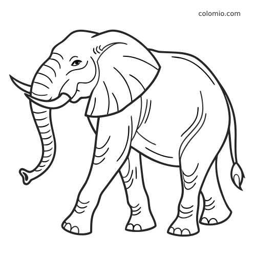 Contorno em preto e branco de um elefante de circo antigo, com grandes presas, tromba levantada e traços simples.