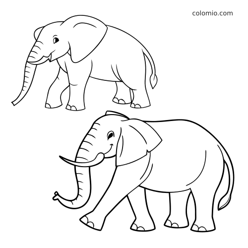 Dois elefantes em estilo simples, um africano e um asiático, lado a lado em traços arredondados para crianças.