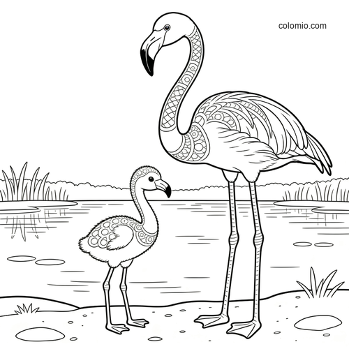 En flamingoforelder våker over ungen sin ved lagunen. En flamingoforelder våker over ungen sin ved lagunen.
