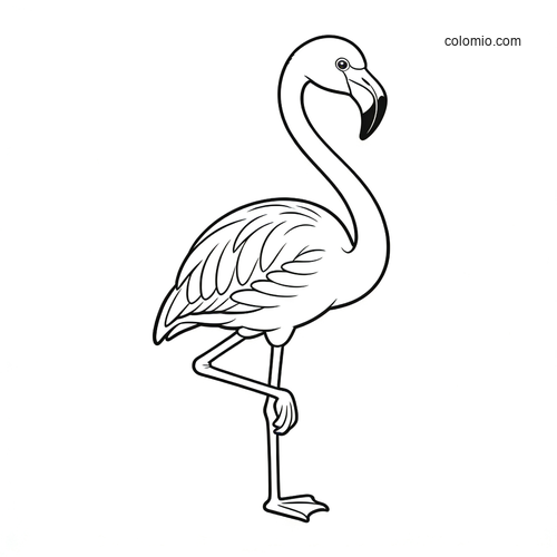En elegant flamingo balanserer grasiøst på ett bein. En elegant flamingo balanserer grasiøst på ett bein.