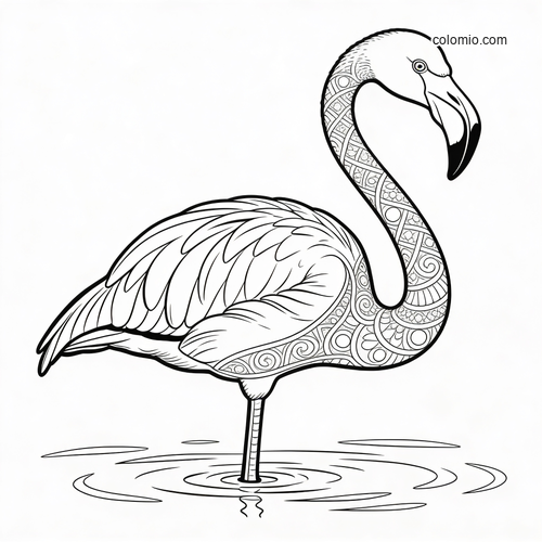 En realistisk detaljert flamingo i sideprofil. En realistisk detaljert flamingo i sideprofil.