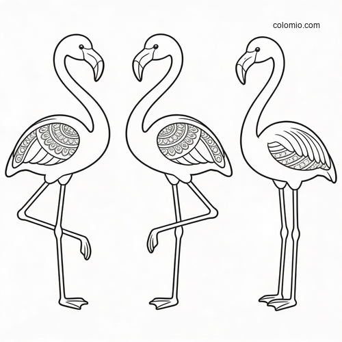 Tre flamingoer inntar lekne dansepositurer. Tre flamingoer inntar lekne dansepositurer.