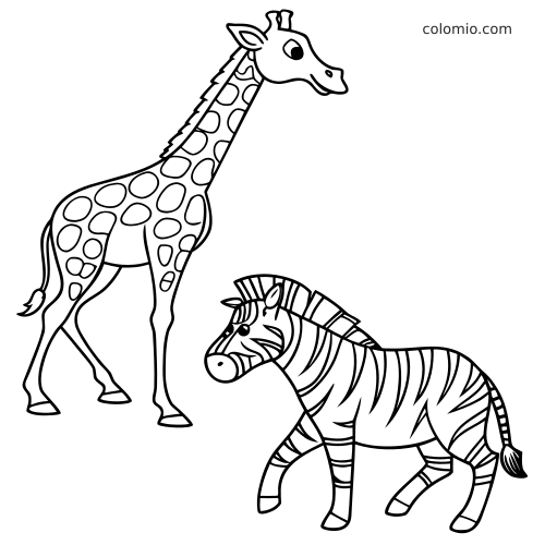 Rysunek konturowy przedstawia żyrafę w tle oraz idącą zebrę na pierwszym planie.