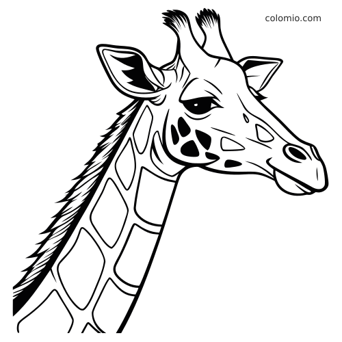 Szczegółowy portret głowy żyrafy z profilu, z krótką grzywą, ciemnymi łatami na pysku i wyraźnymi konturami.