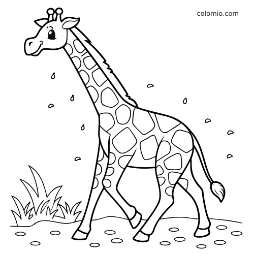 En tecknad giraff med lång hals och fläckar går på marken bredvid gräs i en enkel svartvit konturteckning.