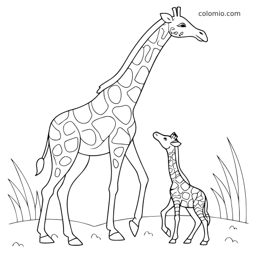 Prosty czarno-biały kontur przedstawia dorosłą żyrafę stojącą obok młodego żyrafiątka na trawiastej ziemi.