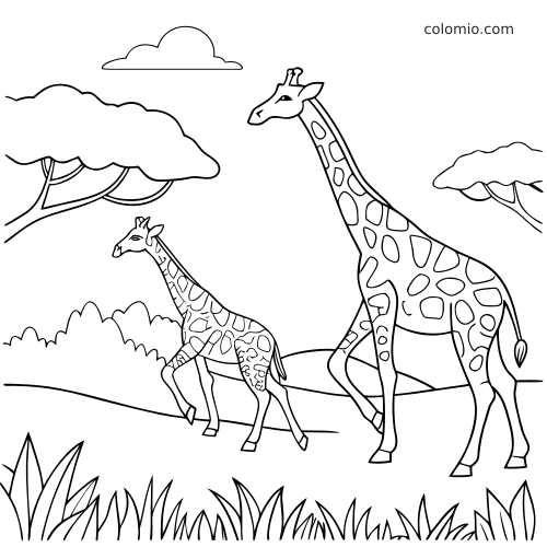 Dwie żyrafy, w tym młode, idą po sawannie wśród drzew akacjowych, krzewów, trawy i pod chmurą.