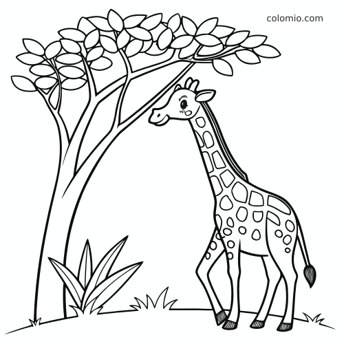 Prosta żyrafa stoi pod rozłożystą akacją i sięga szyją do gałęzi z liśćmi, narysowana wyraźnym konturem.