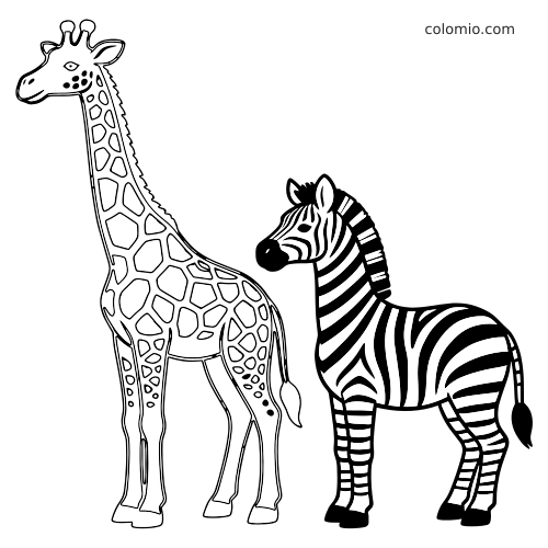 Czarno-biały kontur żyrafy stojącej obok zebry, obie pokazane z boku w prostym stylu kolorowanki.