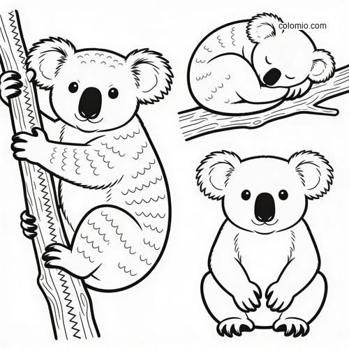 Tre koalaer: en klatrer, en spiser og en sover dypt. Tre koalaer: en klatrer, en spiser og en sover dypt.